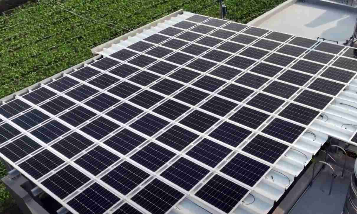 尊时凯龙SunSteel光电浪板升级双玻结构，，以提升机械负载强度及气候耐候度，，，可广泛运用于多元场域