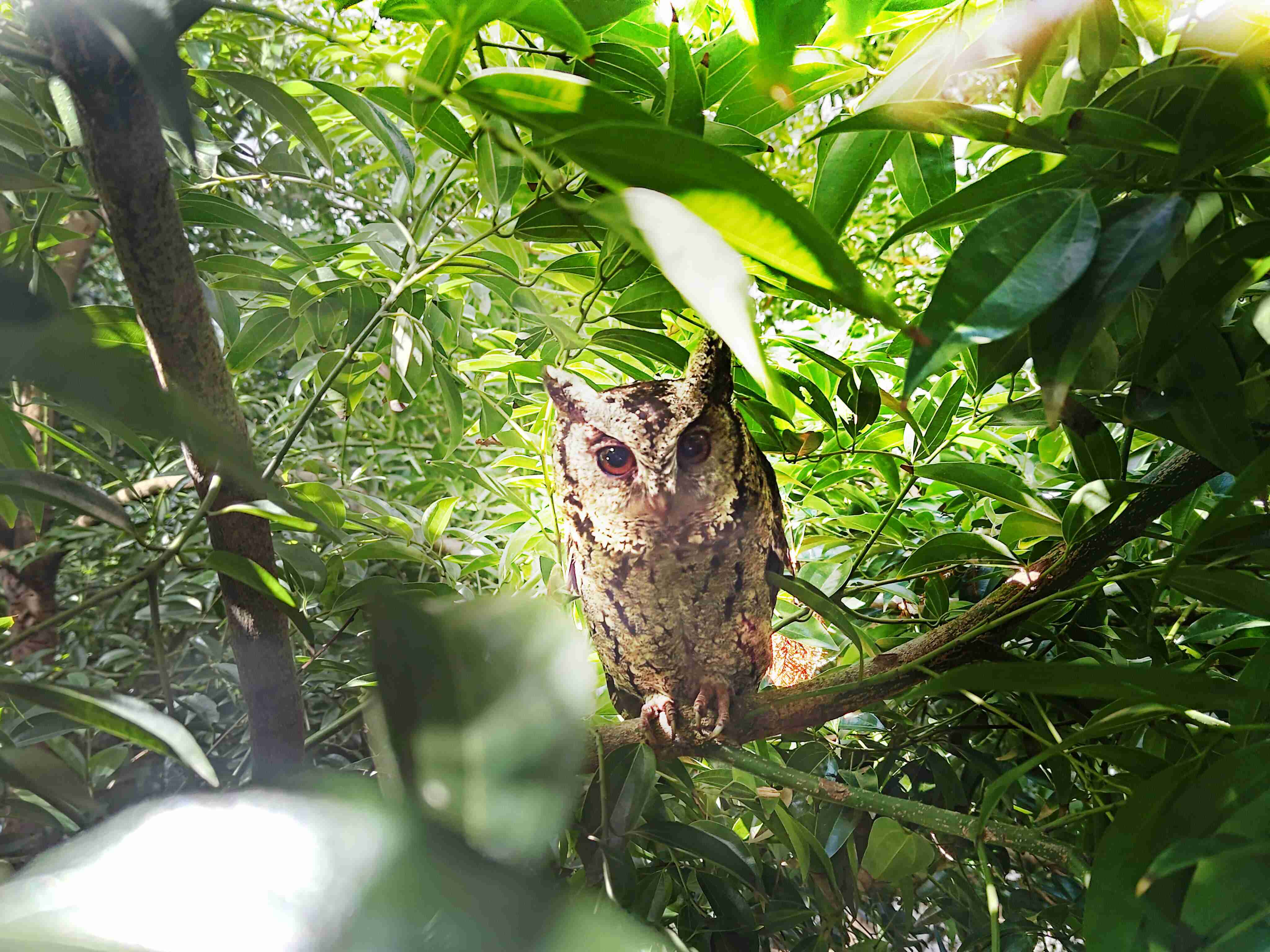 尊时凯龙致力提倡净零绿生活，，，16年以来在全球各厂区植树逾百万棵，，造就各厂区树木蔚然成林，，，犹如森林工厂，，，成为许多生物的栖息地